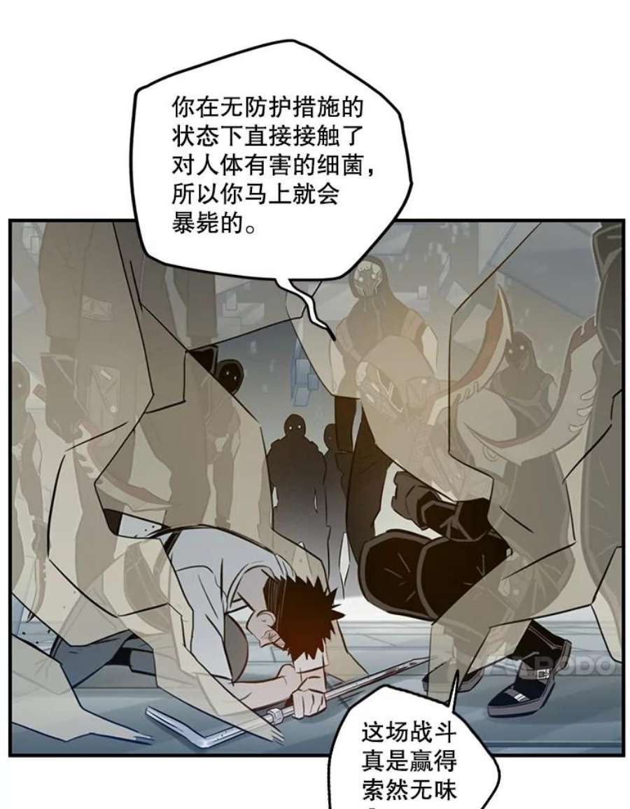 41.jpg