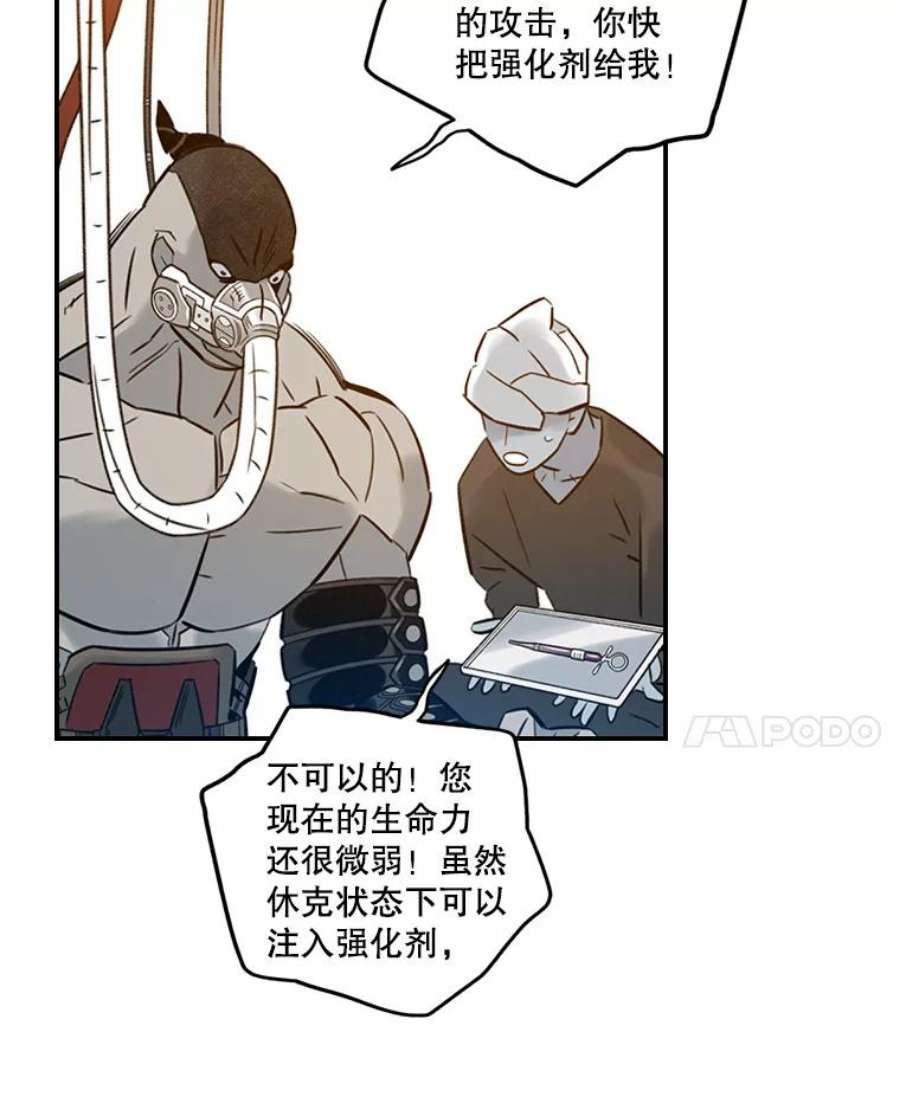41.jpg