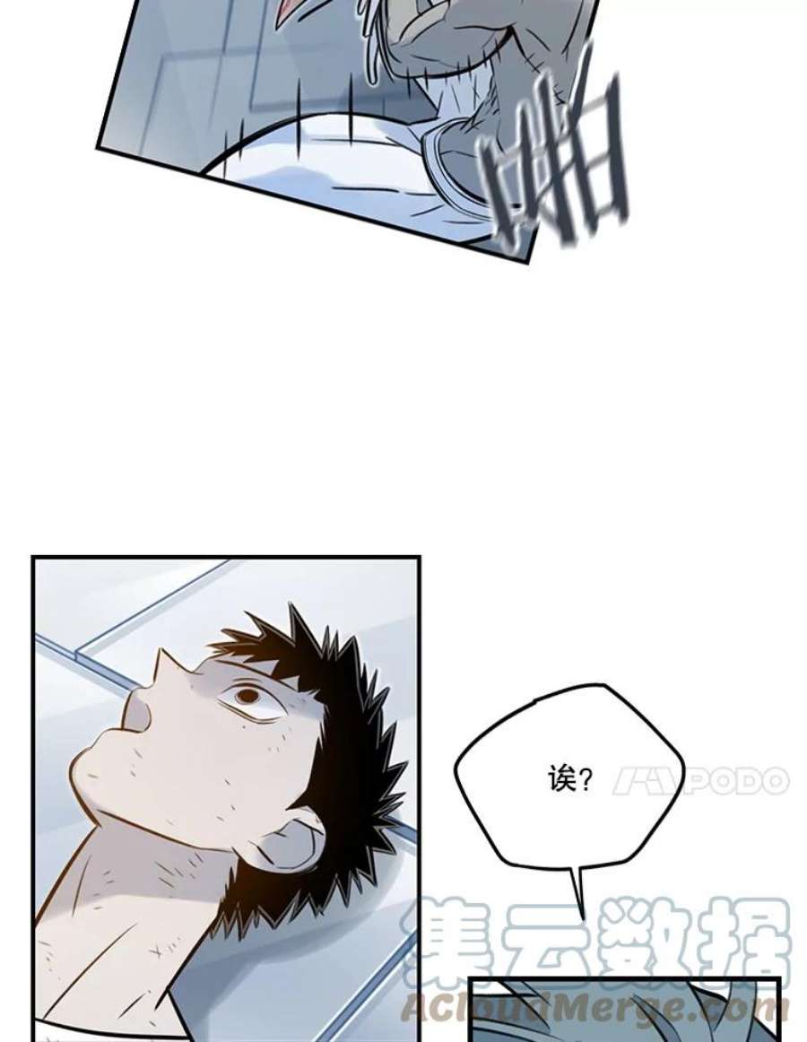 61.jpg