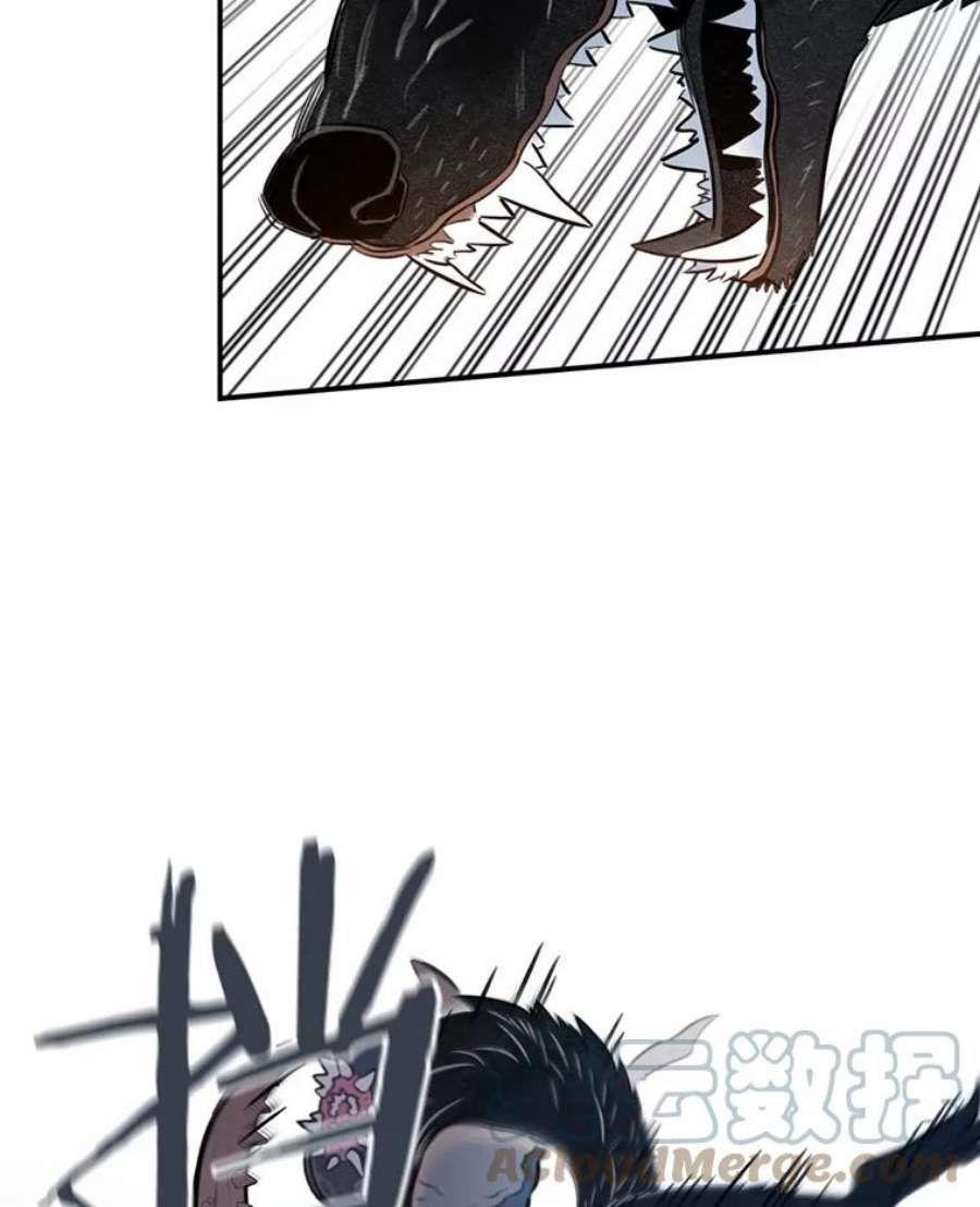 64.jpg