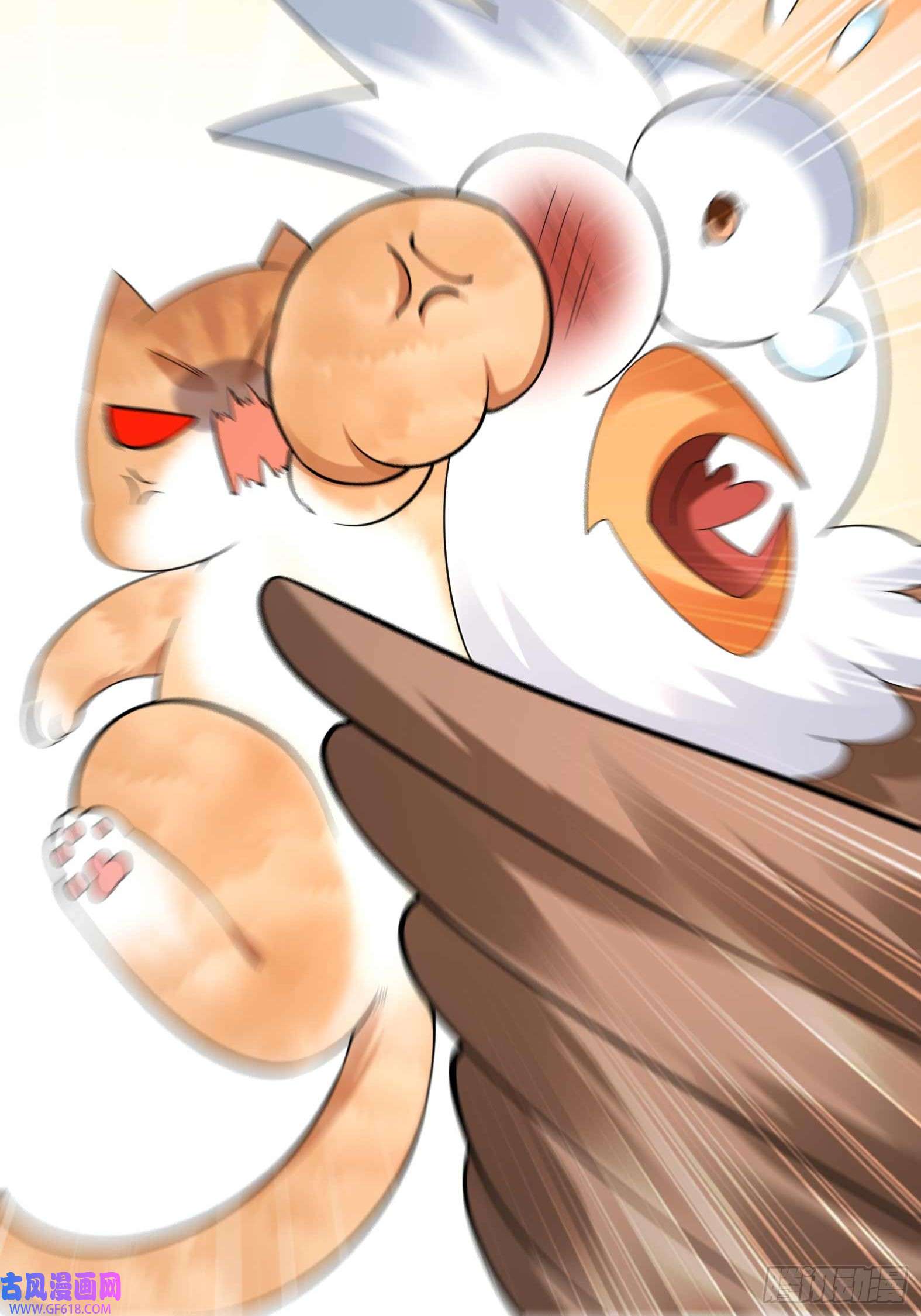29.jpg
