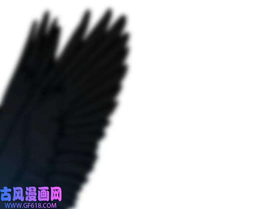 48.jpg