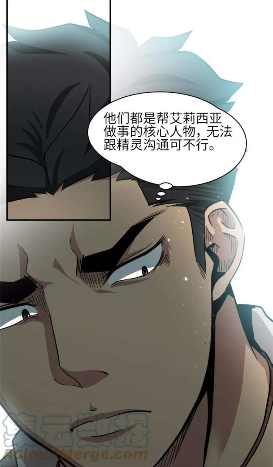 41.jpg