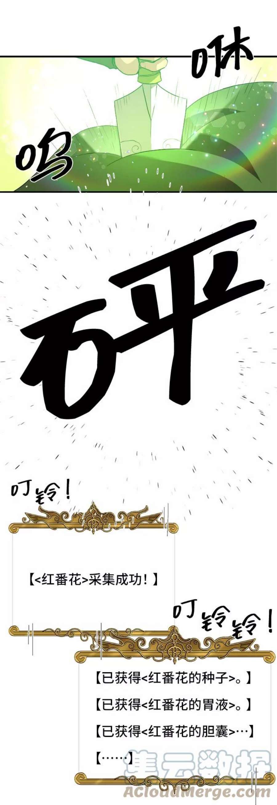 43.jpg
