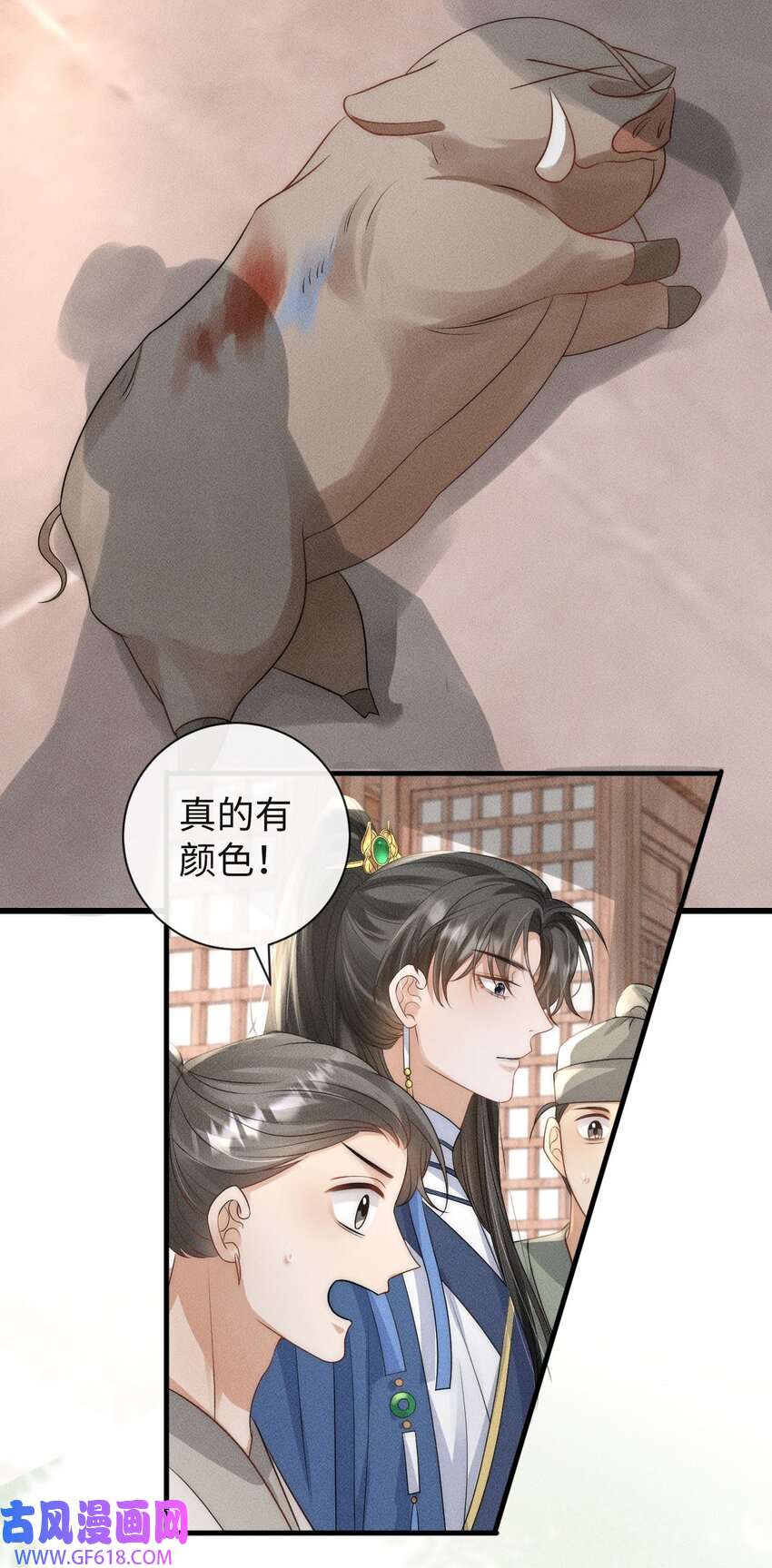15.jpg