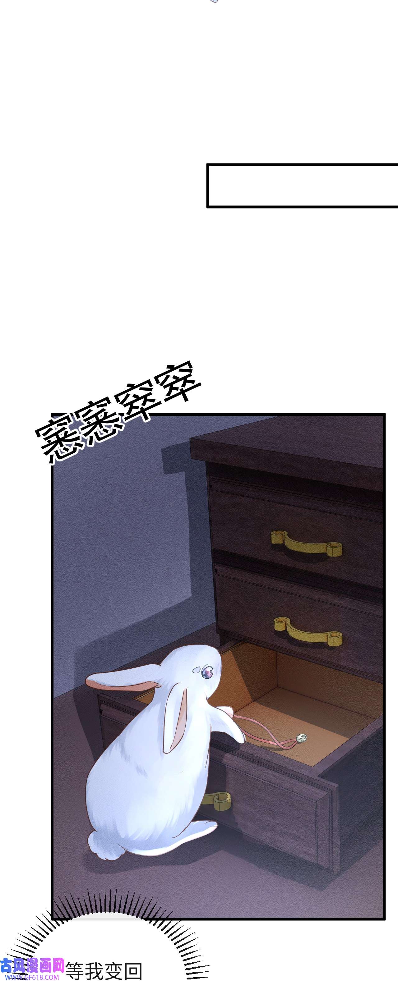 50.jpg