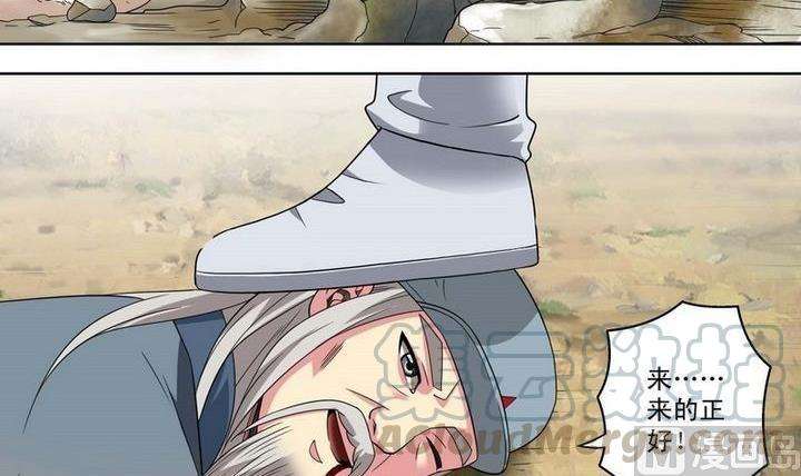 21.jpg