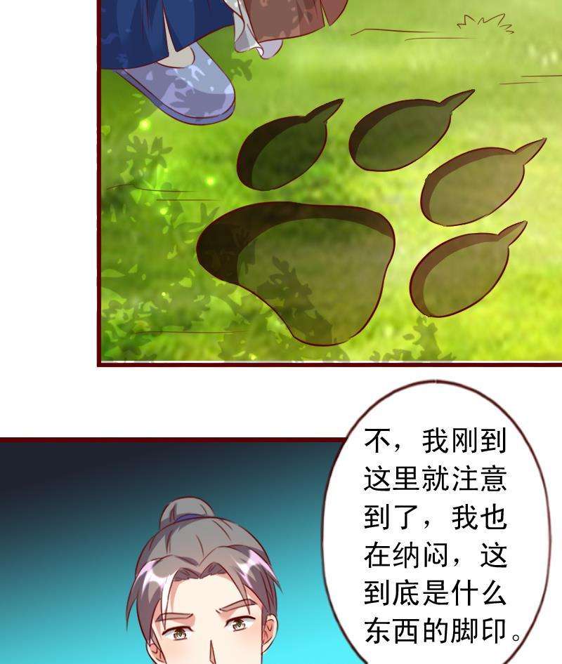 15.jpg