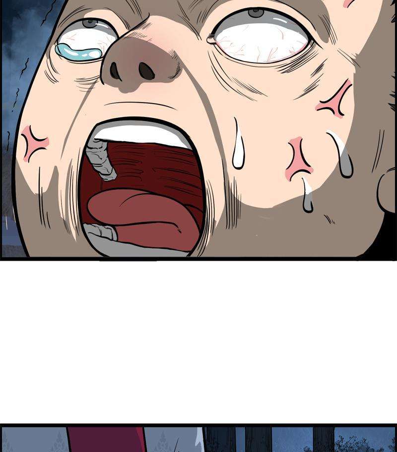 62.jpg