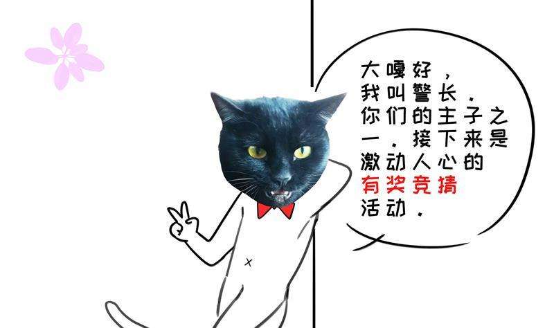 88.jpg