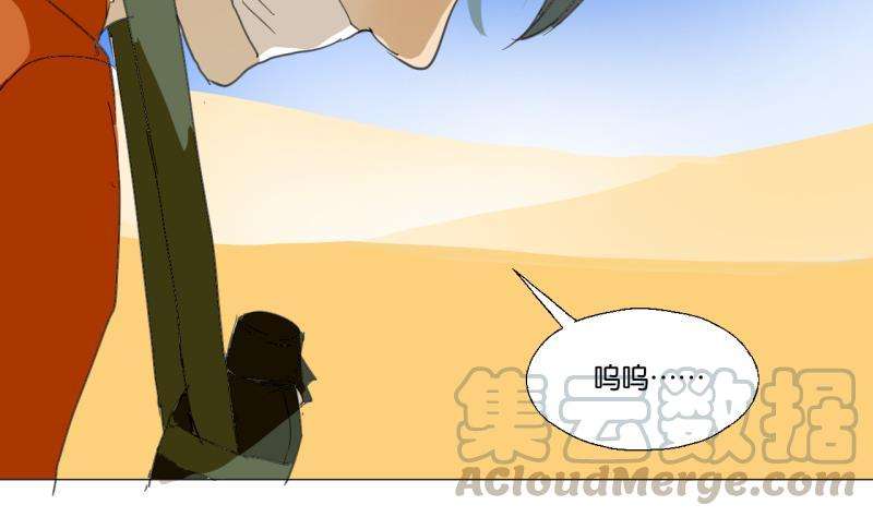 41.jpg
