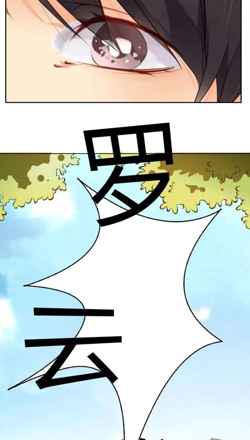 41.jpg