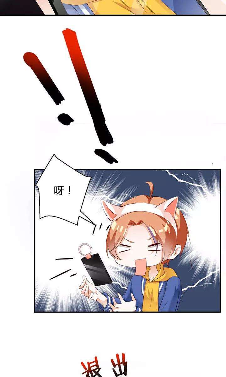 15.jpg