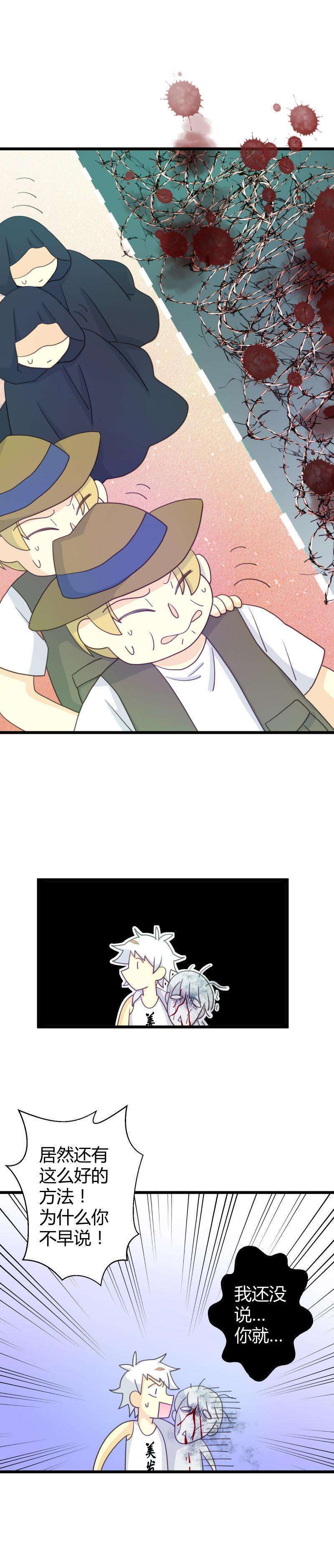 12.jpg