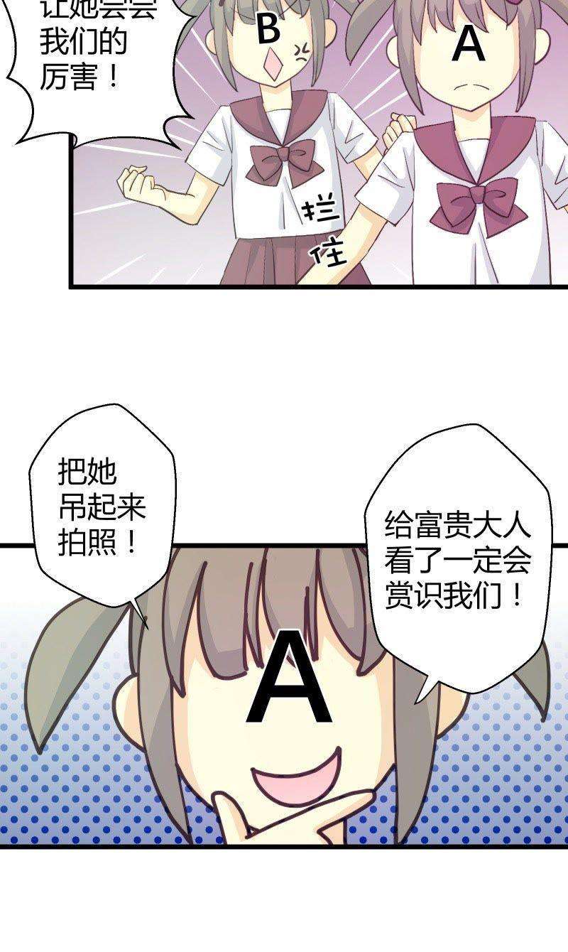 13.jpg