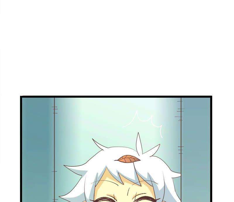55.jpg