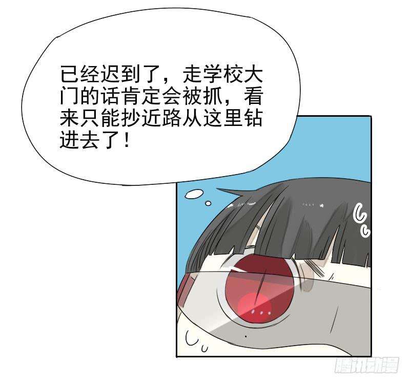 25.jpg
