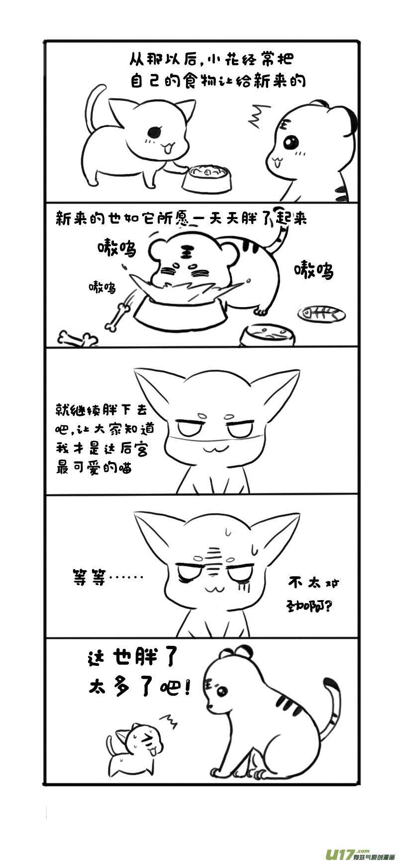 5.jpg