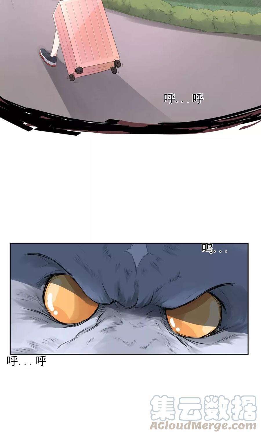 43.jpg
