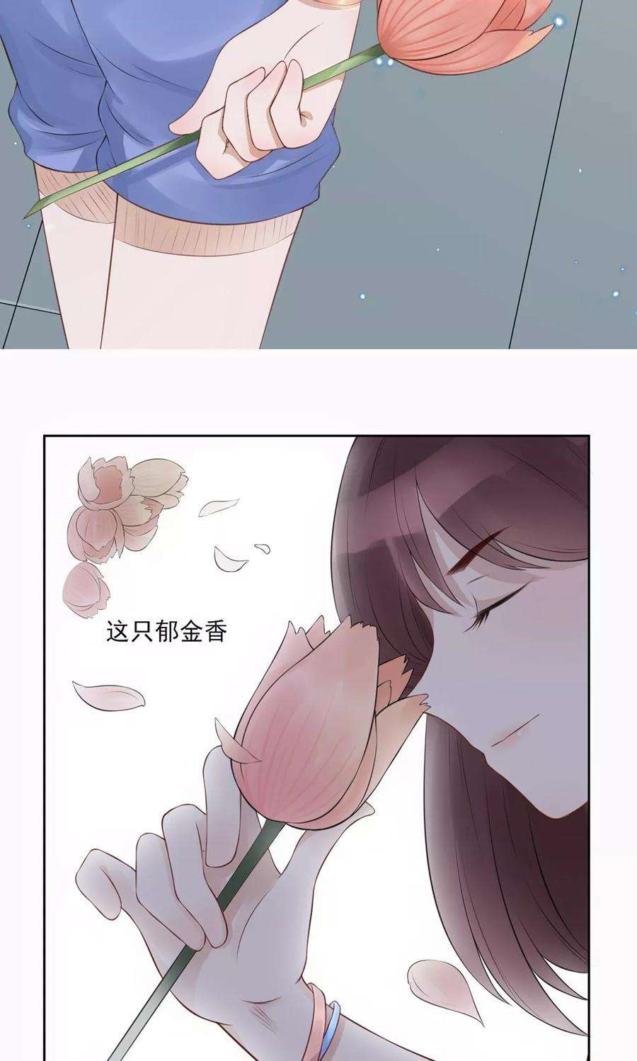 28.jpg