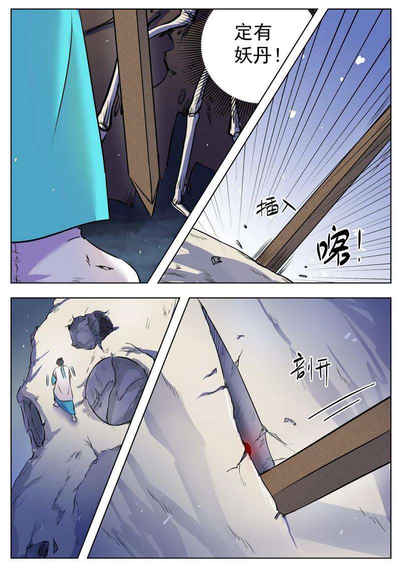 5.jpg