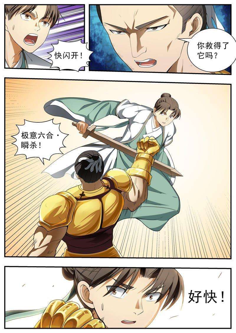 6.jpg