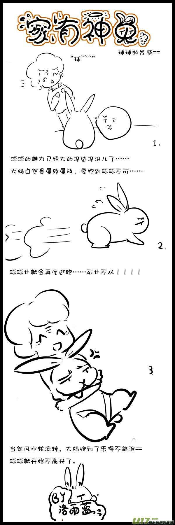 17.jpg