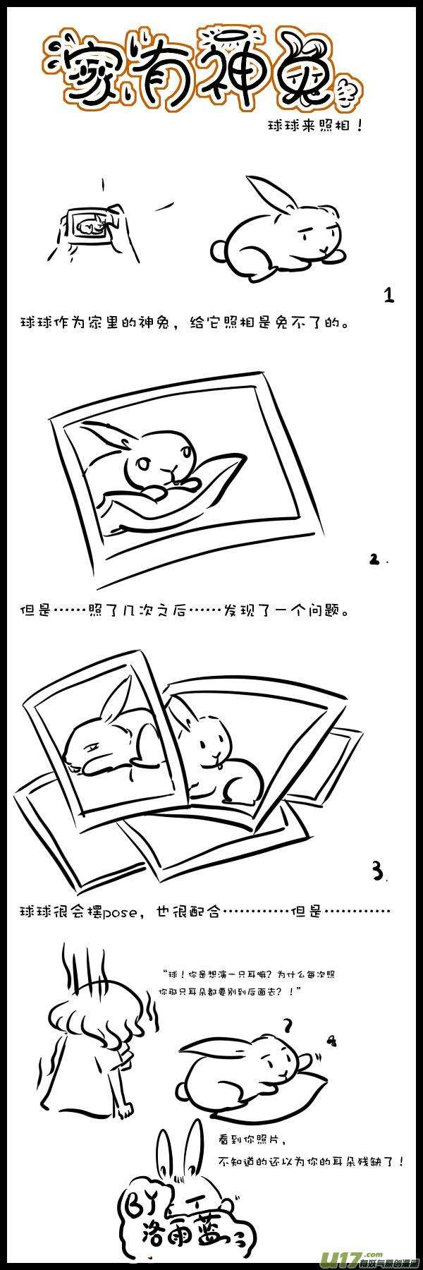 15.jpg