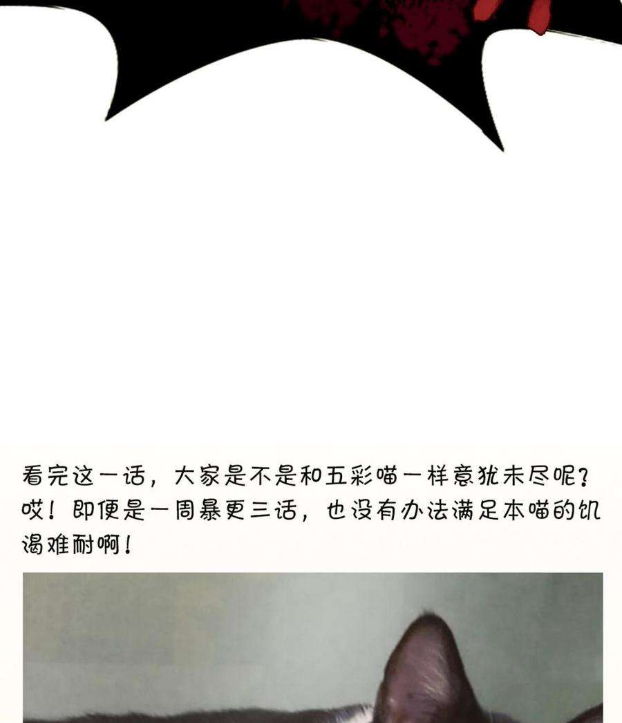 64.jpg