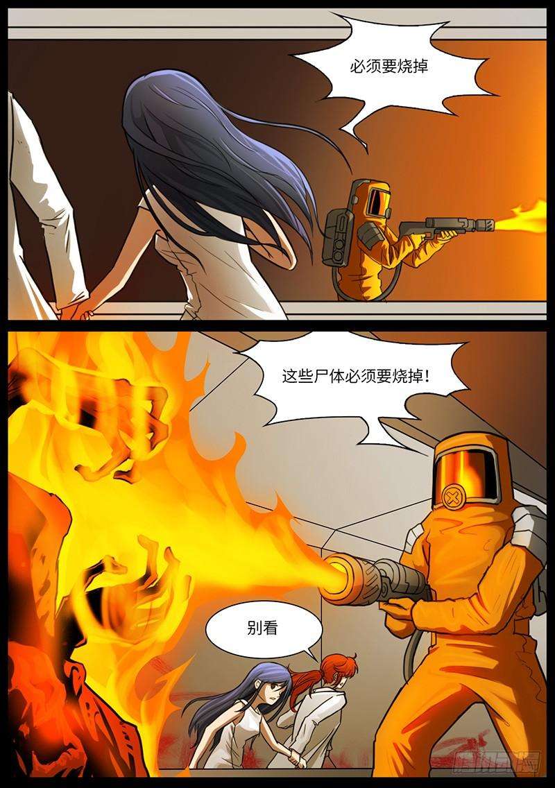 12.jpg