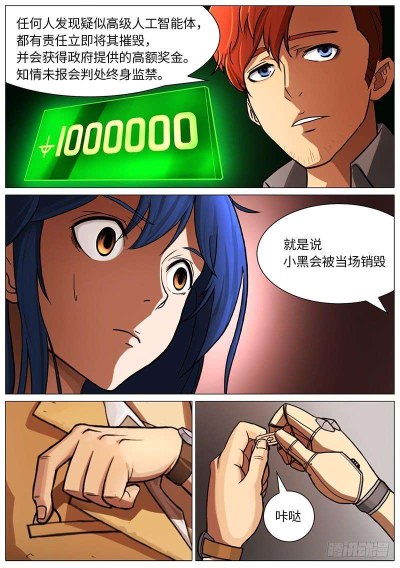 13.jpg