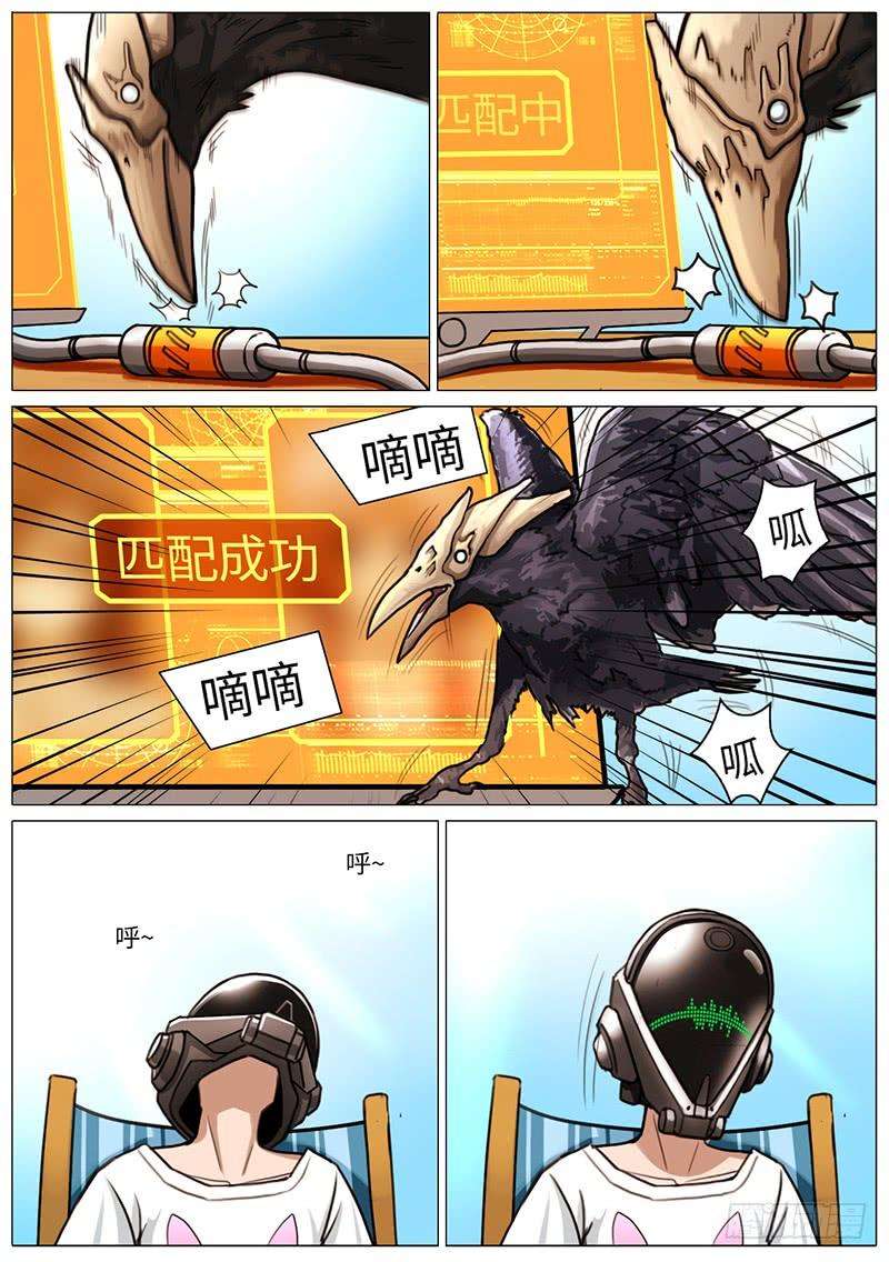 5.jpg
