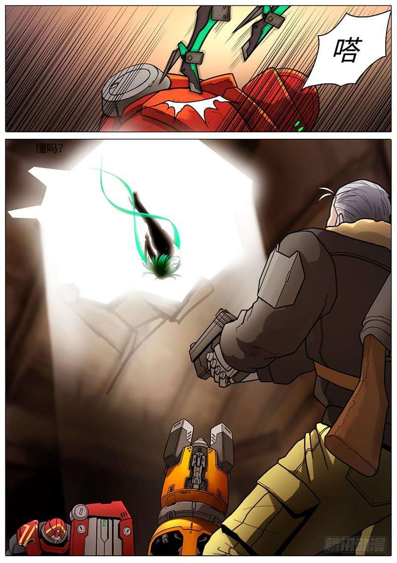11.jpg