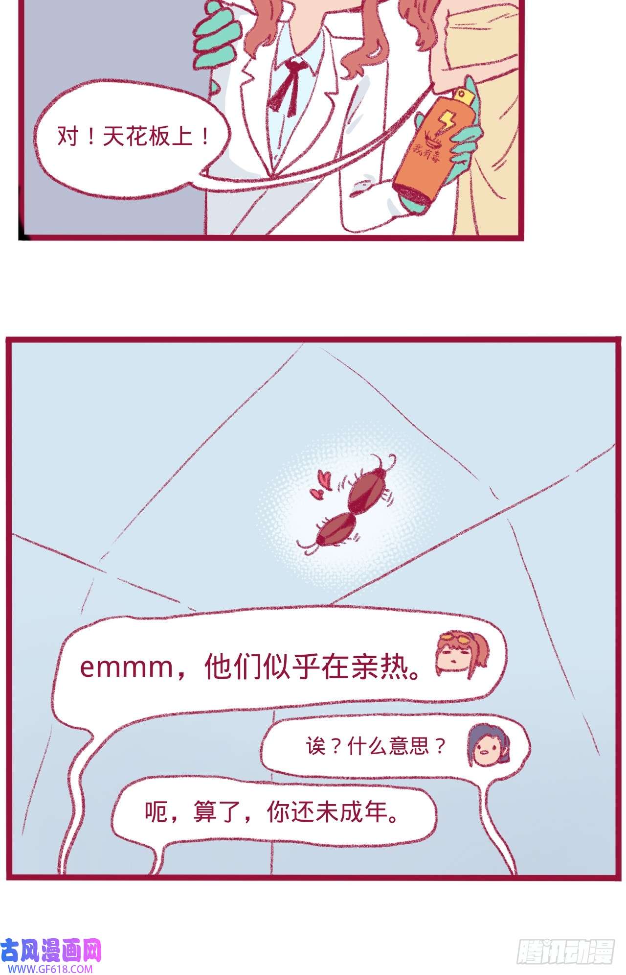 19.jpg