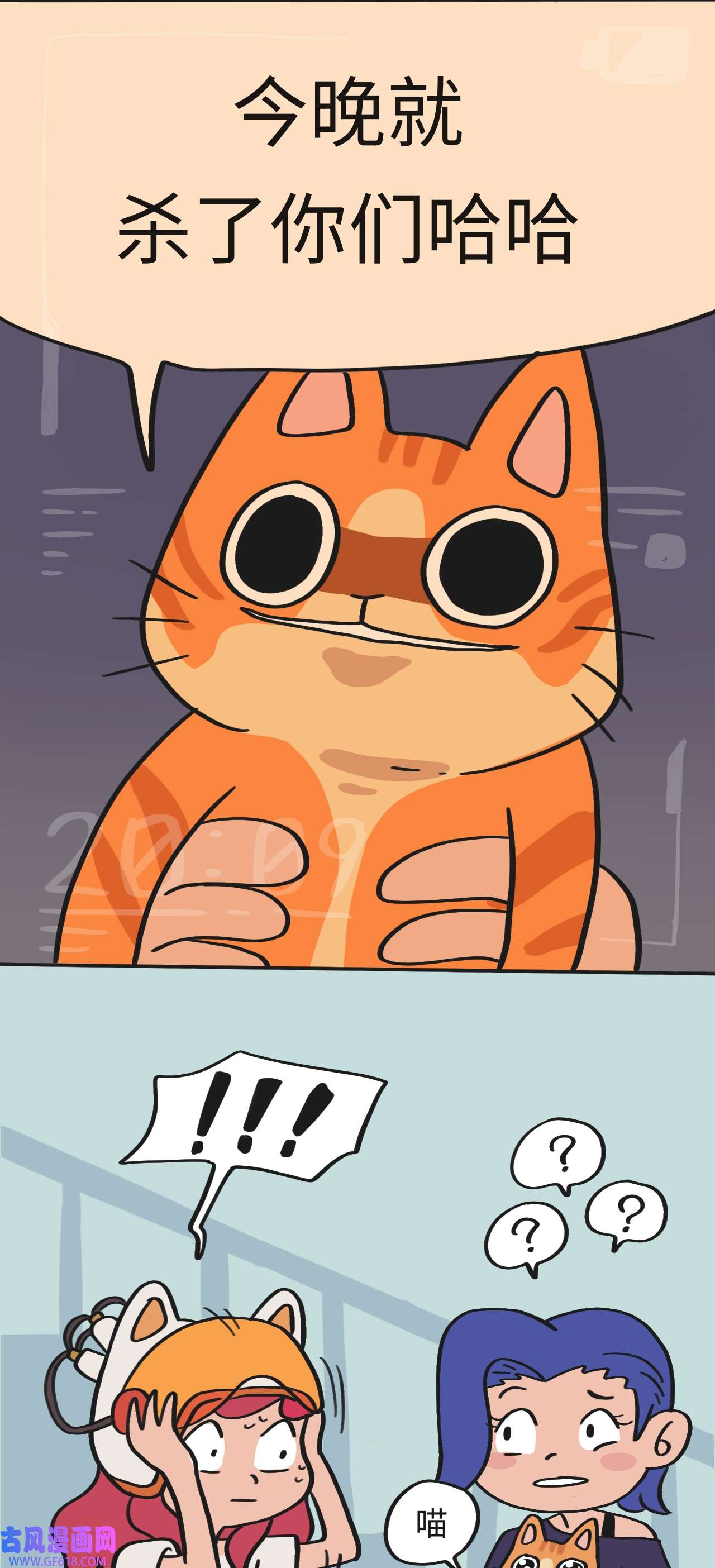 16.jpg
