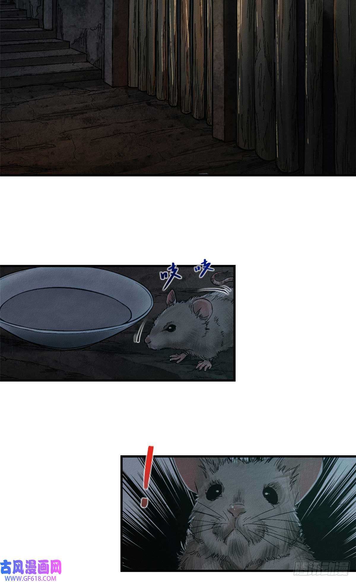 20.jpg