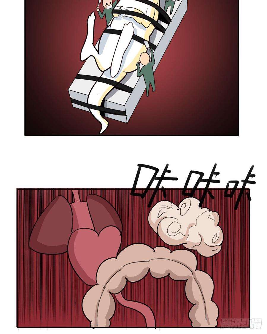 46.jpg