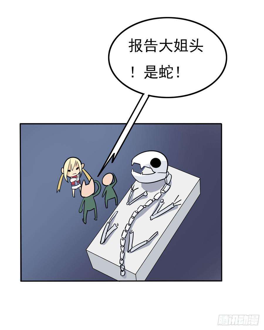 47.jpg