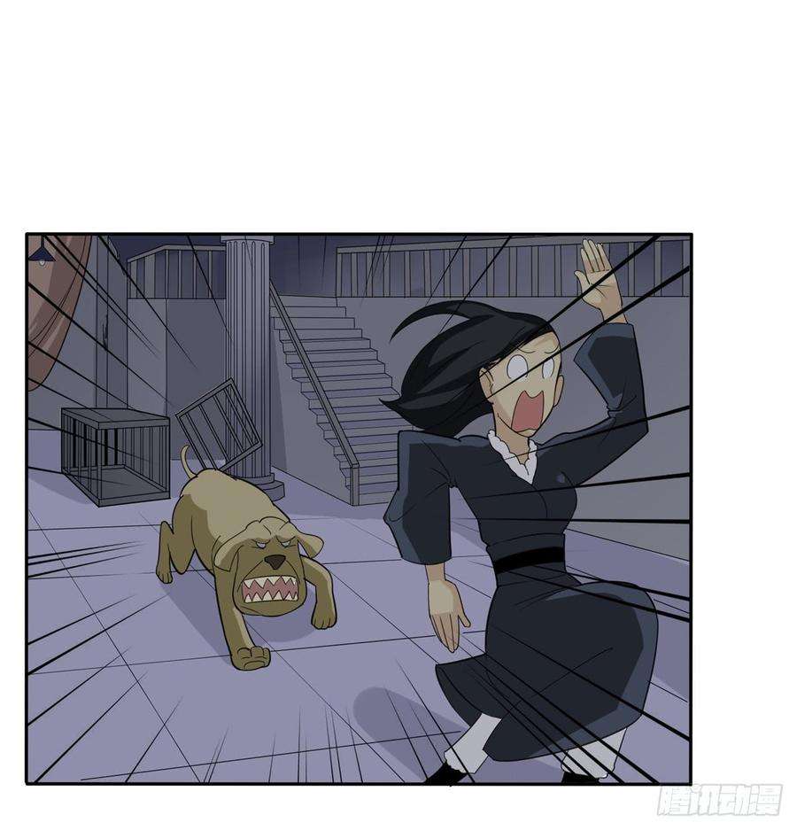 29.jpg