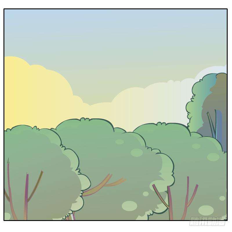 74.jpg