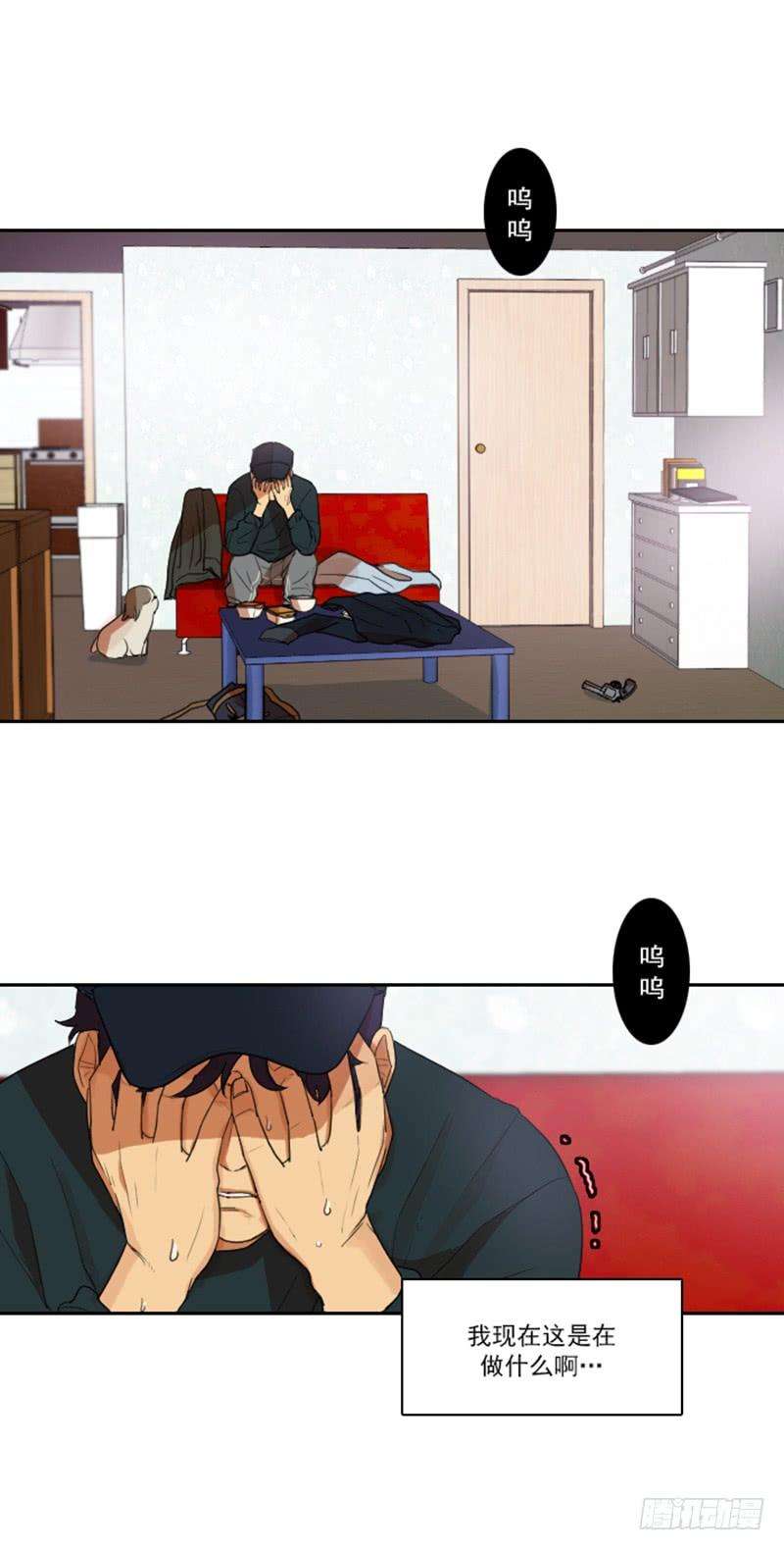 13.jpg