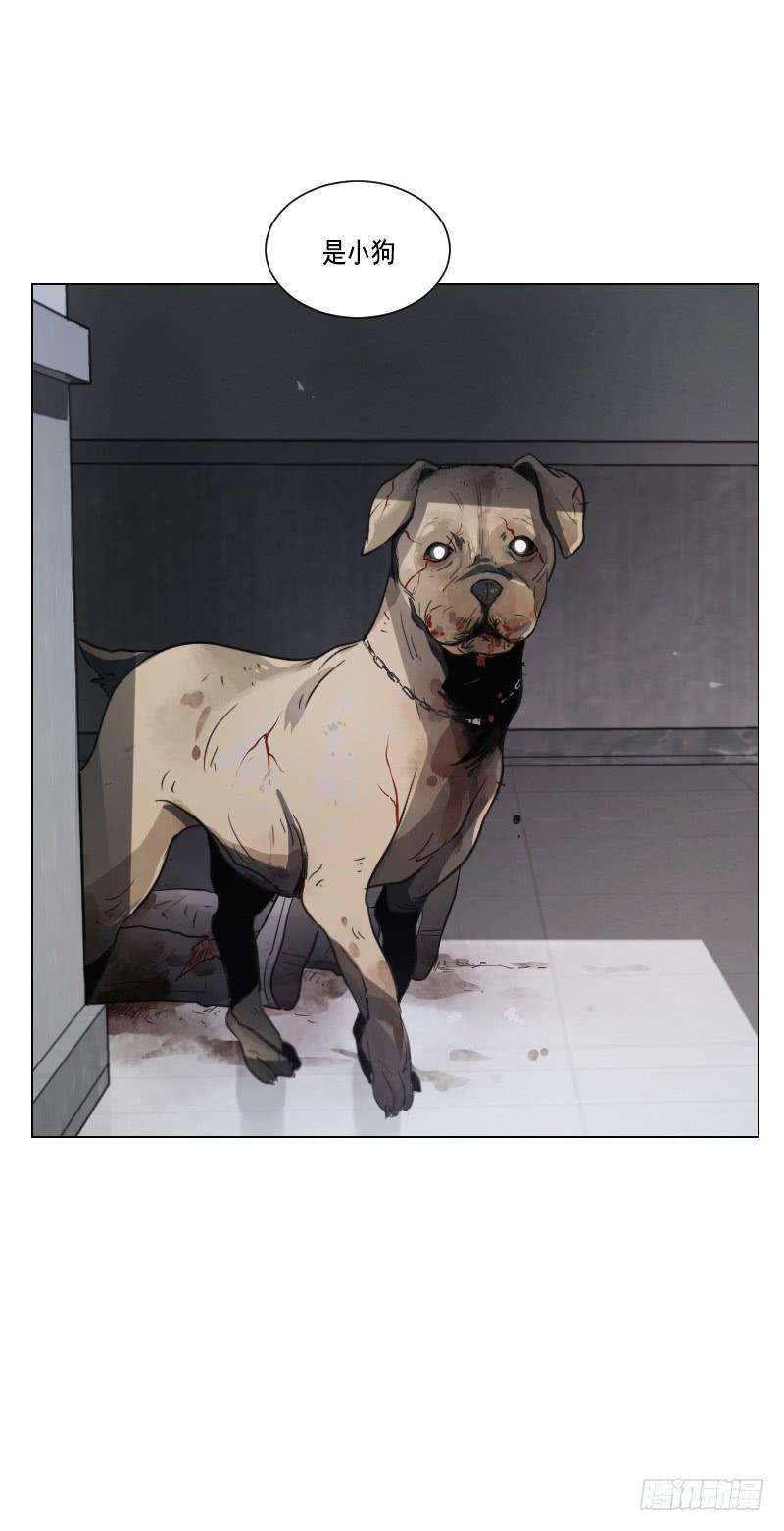 30.jpg