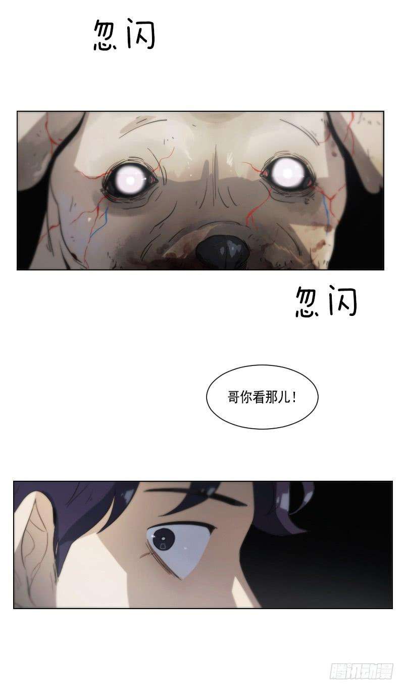 29.jpg