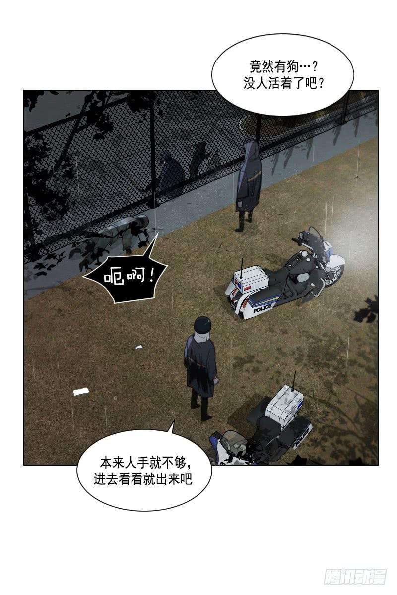 29.jpg