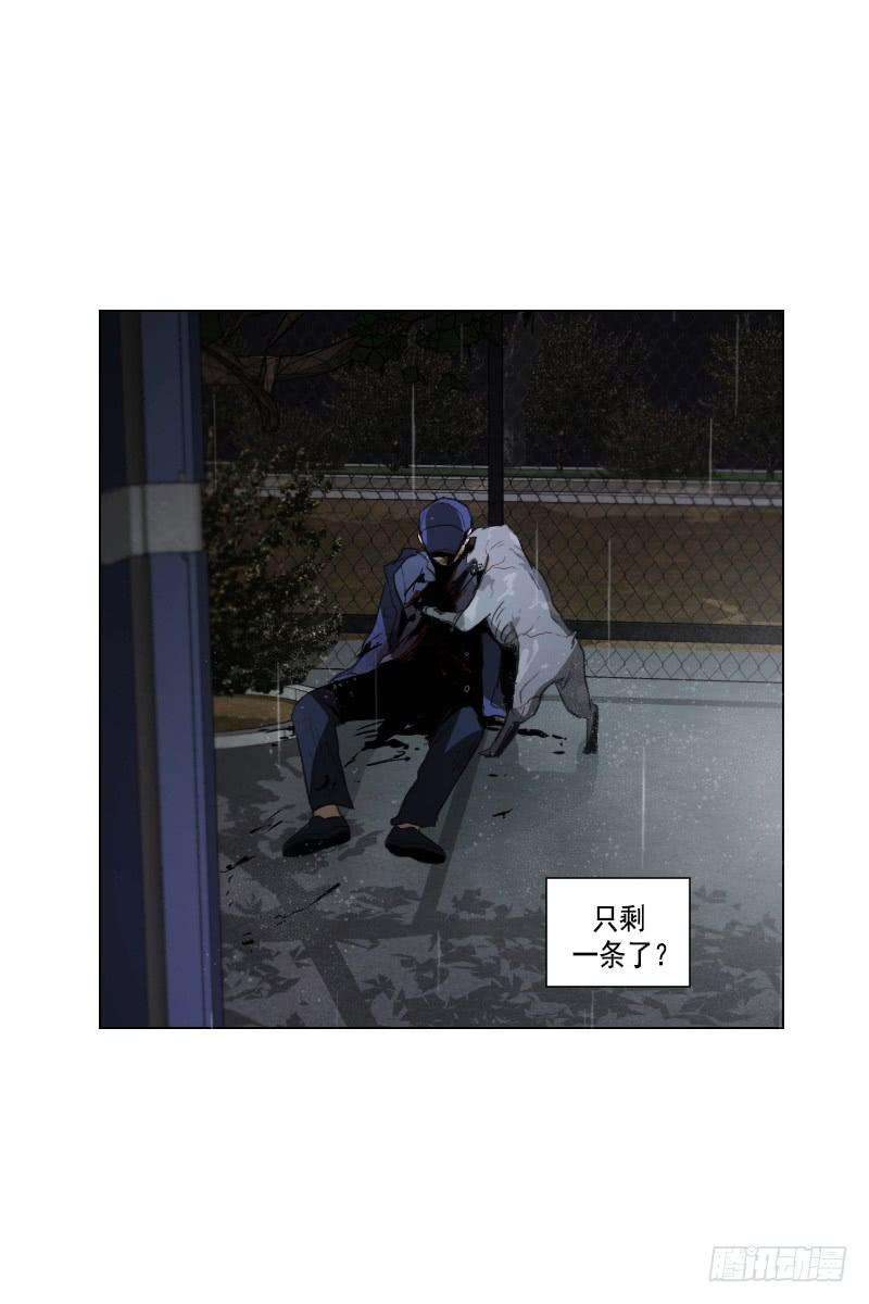 30.jpg