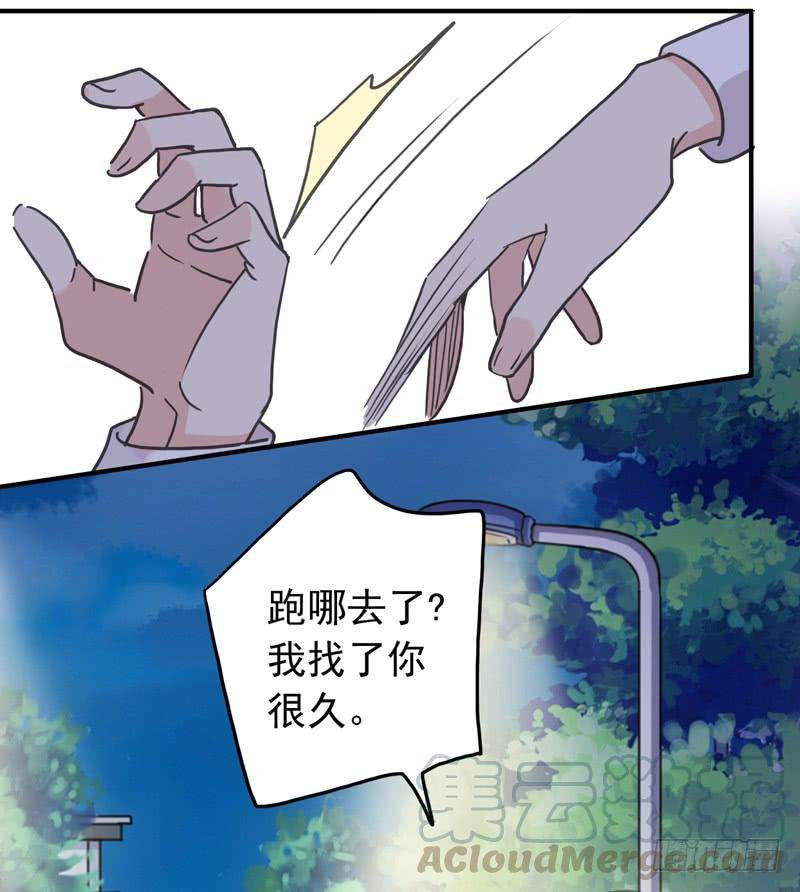 21.jpg