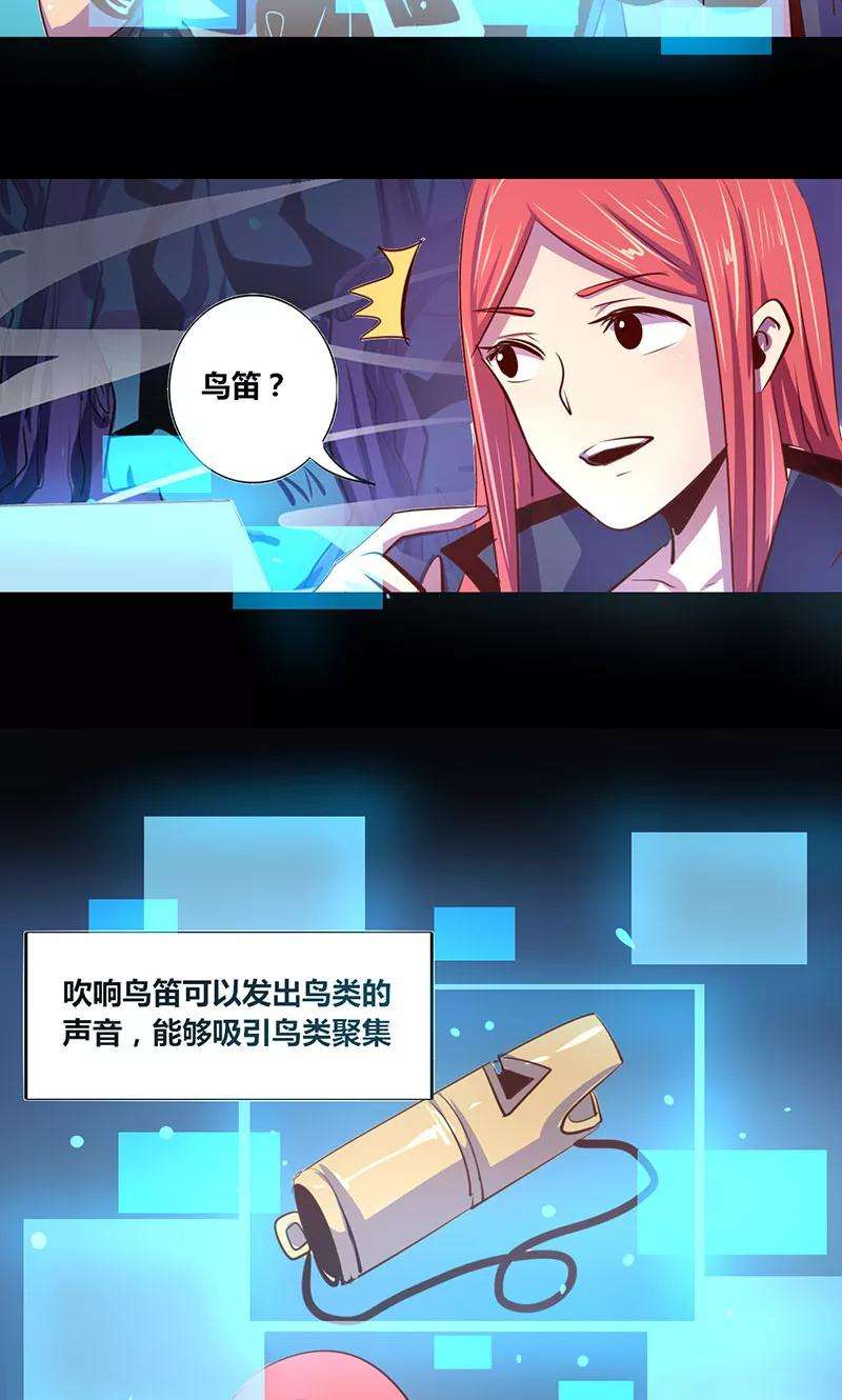 17.jpg