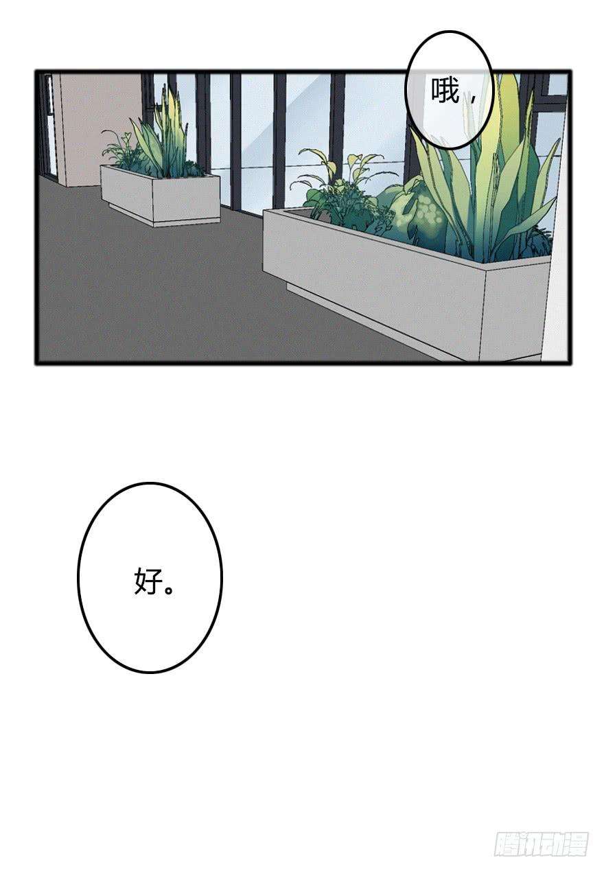 29.jpg