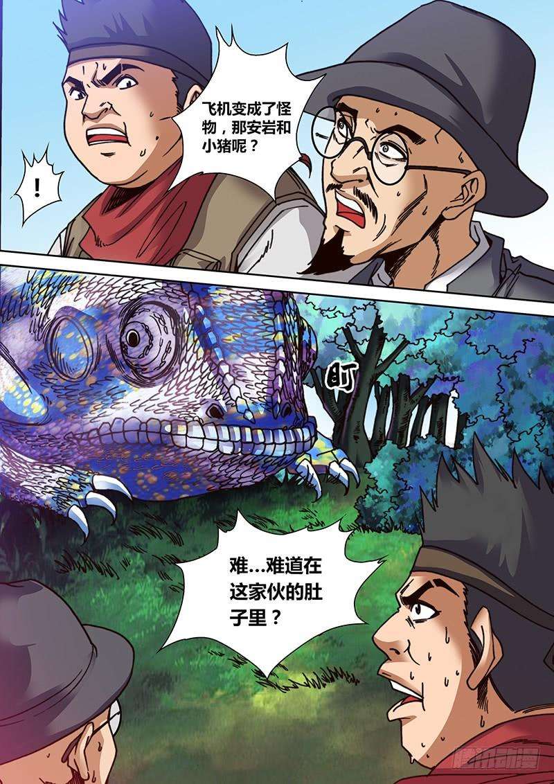 11.jpg