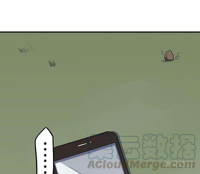 113.jpg